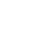 Lotus Blossom