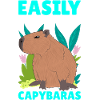 Capybara Capy