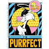 Looney Tunes Sylvester Jeg er Purrfect Sjov