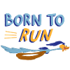 Looney Tunes Road Runner Born To Run