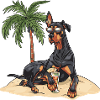 Dobermann Hund Sommer