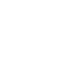 Funny Monkey Drinking Beer