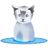 Katze