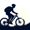 Eco Bike at Night Silhouette