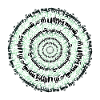Magic Circle