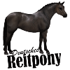 Deutsches Reitpony Rappe
