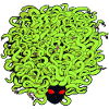 Hairy Medusa 2
