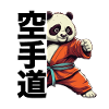Karate Panda Summer Fun
