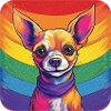 LGBTQ Chihuahua