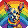 LGBTQ Chihuahua