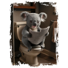 Koala-Toilette Geschenk