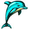 Dolphin