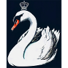Swan