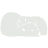 POLAR II
