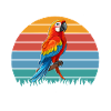 Girl Loves Parrot