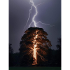 Thunderbolt