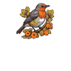 Bird breeder Ornithologist Bird watcher