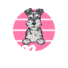 Schnauzer nain Chien Schnauzer