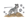 Miniature Schnauzer Dog Schnauzer