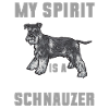 Schnauzer nain Chien Schnauzer