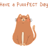 Have a purrfect dy