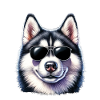 Cool husky with sunglasses