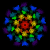 Regenbogen-Blume