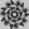Schwarz-Weiß-abstrakte Blume
