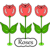 Roses