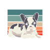 Retro French Bulldog Home
