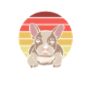 Retro French Bulldog
