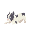 Bouledogue français de compagnie