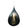 Forest view tear