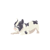 French Bulldog Mom