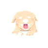 Golden Retriever Mom