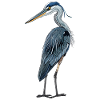 Blaureiher