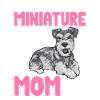 Miniature Schnauzer Dog Schnauzer
