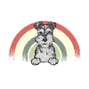 Schnauzer nain Chien Schnauzer