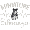 Schnauzer nain Chien Schnauzer