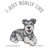 Miniature Schnauzer Dog Schnauzer