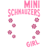 Schnauzer nain Chien Schnauzer
