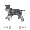 Miniature Schnauzer Dog Schnauzer