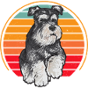 Miniature Schnauzer Dog Schnauzer