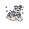 Miniature Schnauzer Dog Schnauzer