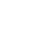 Skull Pirate