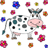 Vache