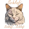 CAT Sleepi... Schlafi