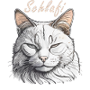 CAT Schlafi