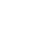 Polizfi