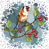 Bunter Vogel